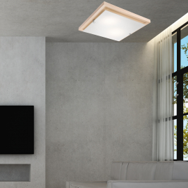 Lampa sufitowa Pedro LD-PD-7.2 biała TRANSPARENT 27050