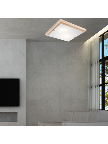 Lampa sufitowa Pedro LD-PD-7.2 biała TRANSPARENT 27050