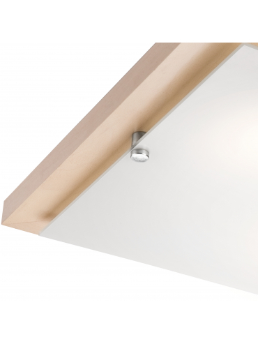 Lampa sufitowa Pedro LD-PD-7.2 biała TRANSPARENT 27050