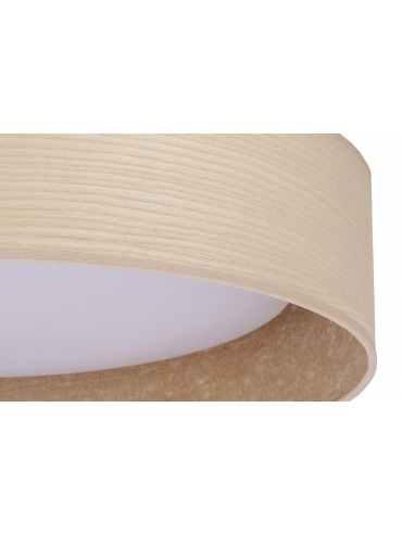 Lampa sufitowa PLAFOND LED 600859