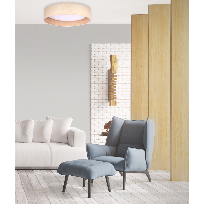 Lampa sufitowa PLAFOND LED 600859