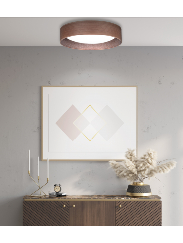Lampa sufitowa PLAFOND LED 600866