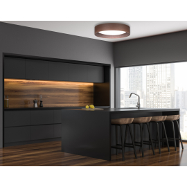 Lampa sufitowa PLAFOND LED 600866
