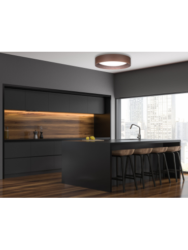 Lampa sufitowa PLAFOND LED 600866