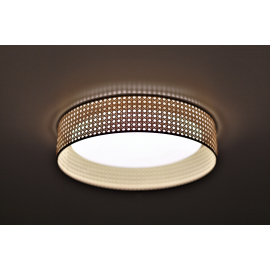 Lampa sufitowa PLAFOND LED 600873