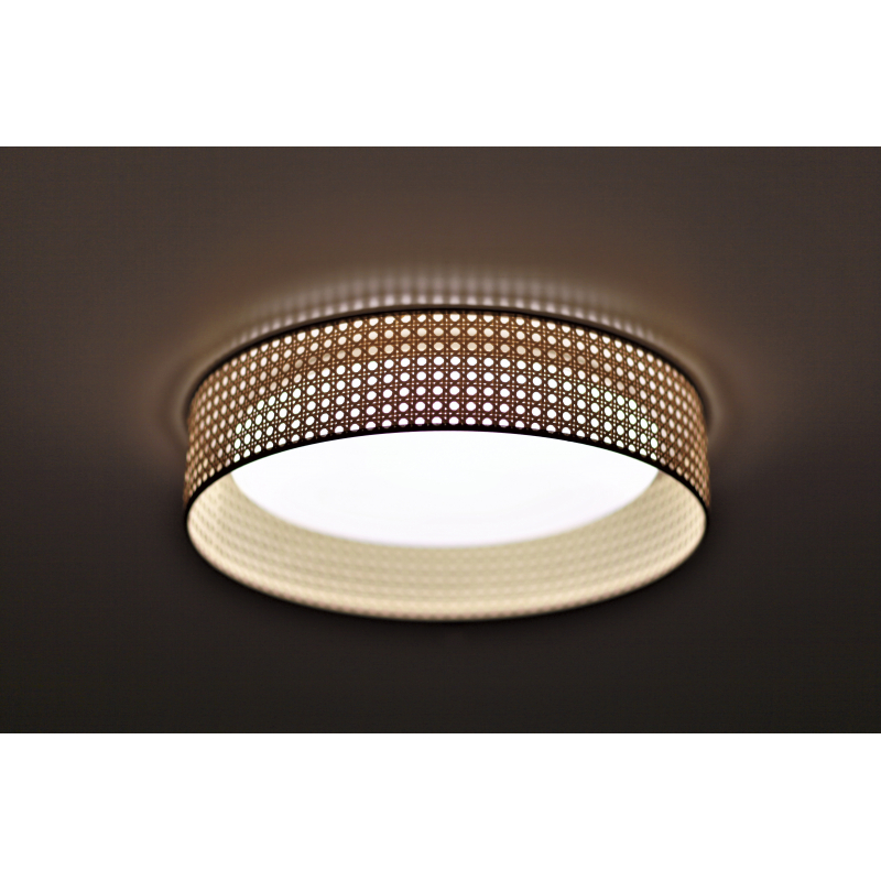 Lampa sufitowa PLAFOND LED 600873