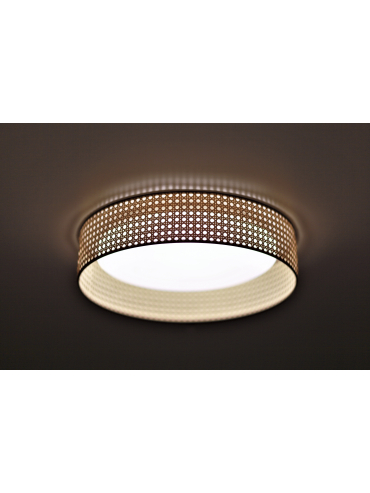 Lampa sufitowa PLAFOND LED 600873