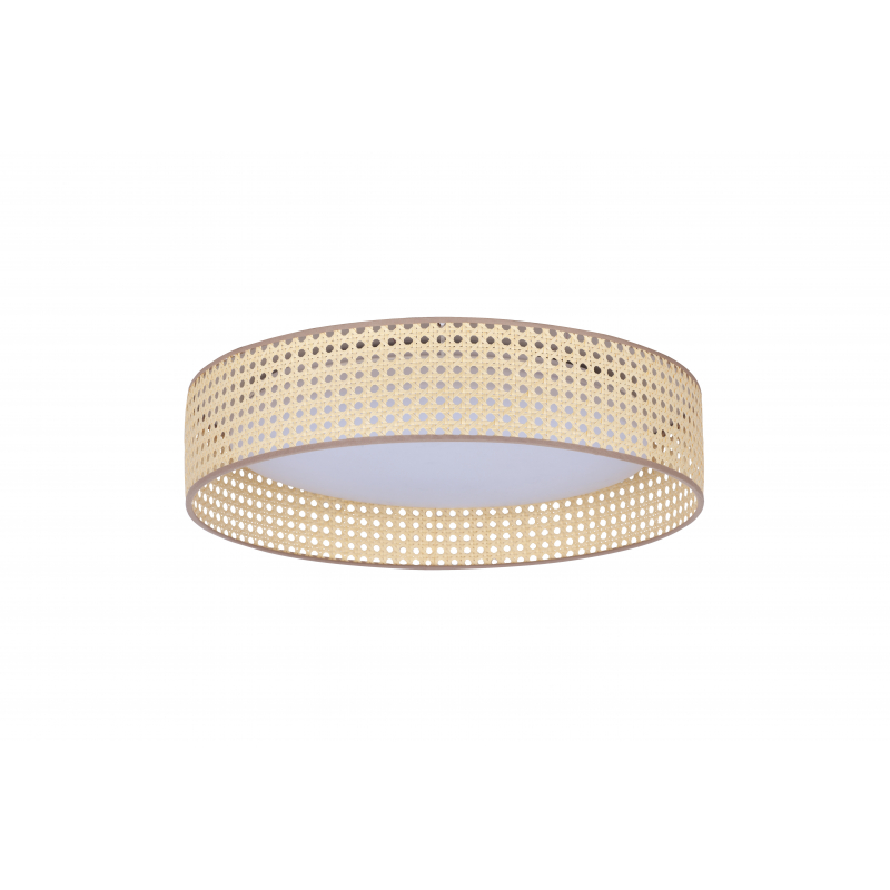 Lampa sufitowa PLAFOND LED 600873