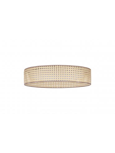 Lampa sufitowa PLAFOND LED 600873