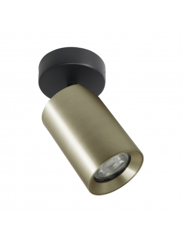 Spot TORE TLS006-GLD