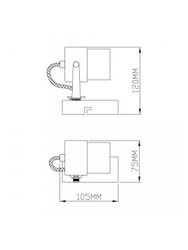 Spot RAO CK99893-1