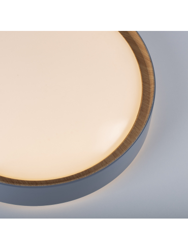Lampa sufitowa EMILIA 14347-15