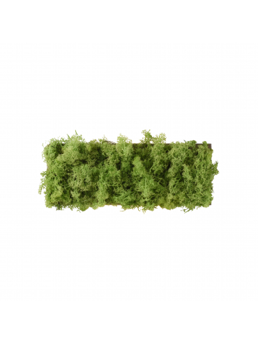 Kinkiet GREEN CARL 15637-66