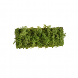 Kinkiet GREEN CARL 15637-66