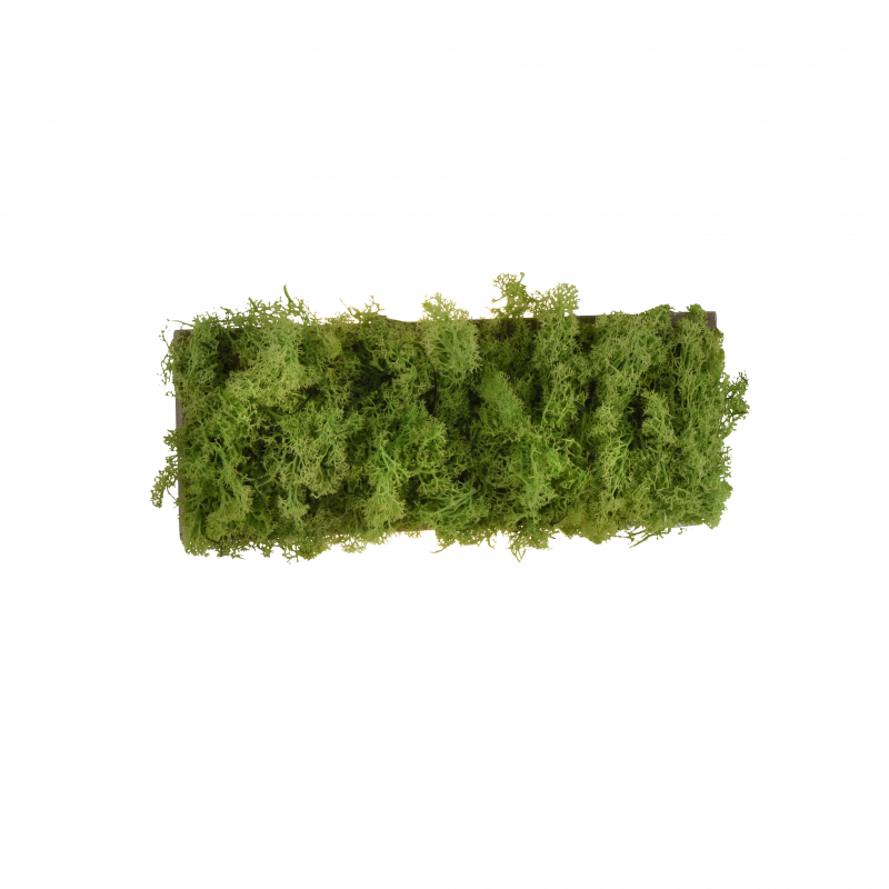 Kinkiet GREEN CARL 15637-66