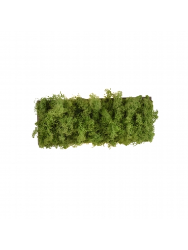 Kinkiet GREEN CARL 15637-66