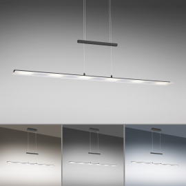 Lampa wisząca NELE 15880-13