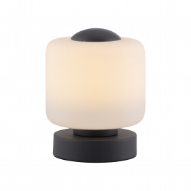 Lampa stołowa BOTA 4037-13