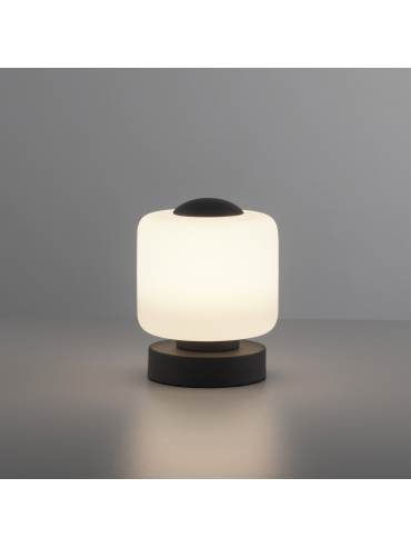 Lampa stołowa BOTA 4037-13