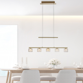 Lampa wisząca HYDRA 2209-60