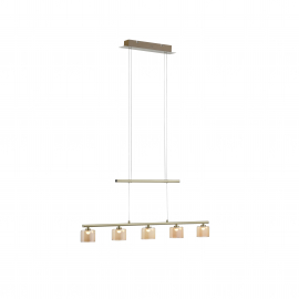 Lampa wisząca HYDRA 2209-60