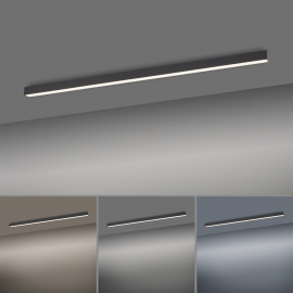 Lampa sufitowa PURE-LINES 6021-13