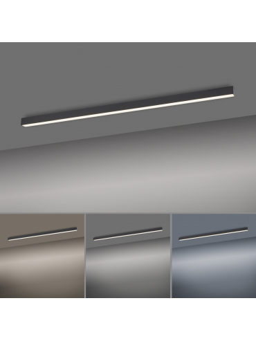 Lampa sufitowa PURE-LINES 6021-13