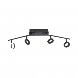 Lampa sufitowa SILEDA 6786-13