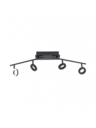 Lampa sufitowa SILEDA 6786-13