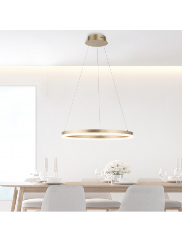Lampa wisząca TITUS 2382-60