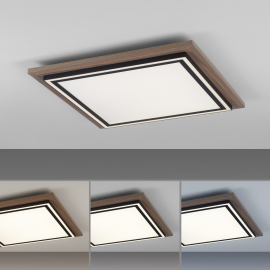Lampa sufitowa PALMA 6141-79