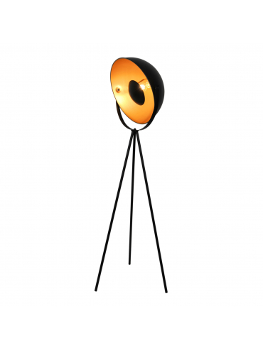 Lampa podłogowa LARC F16019