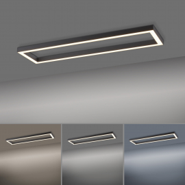 Lampa sufitowa PURE-LINES 6023-13
