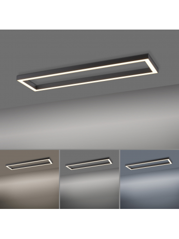 Lampa sufitowa PURE-LINES 6023-13