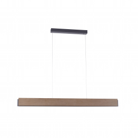 Lampa wisząca PALMA 2465-79