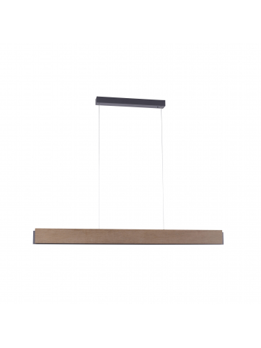 Lampa wisząca PALMA 2465-79