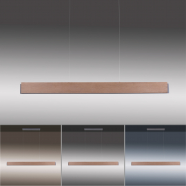 Lampa wisząca PALMA 2465-79