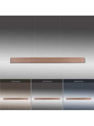 Lampa wisząca PALMA 2465-79