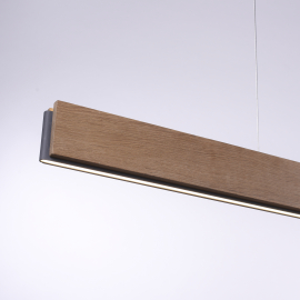 Lampa wisząca PALMA 2465-79