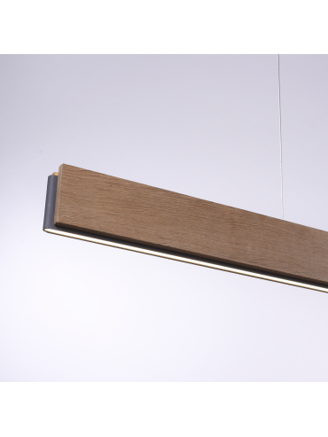 Lampa wisząca PALMA 2465-79