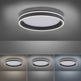 Lampa sufitowa Q-VITO 8414-13