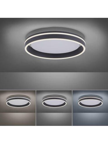 Lampa sufitowa Q-VITO 8414-13