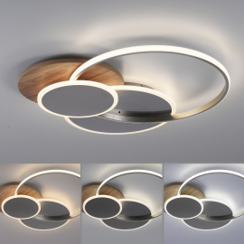 Lampa sufitowa PALMA 8328-79