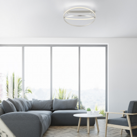 Lampa sufitowa Q-BELUGA 6739-55