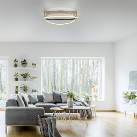 Lampa sufitowa Q-BELUGA 6739-60