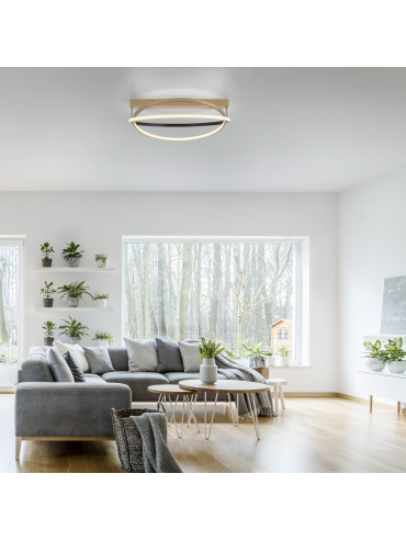Lampa sufitowa Q-BELUGA 6739-60