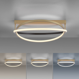 Lampa sufitowa Q-BELUGA 6739-60