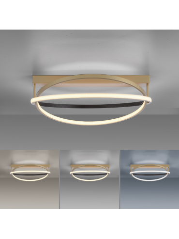 Lampa sufitowa Q-BELUGA 6739-60