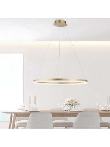 Lampa wisząca TITUS 2383-60