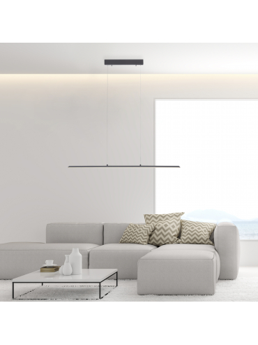Lampa wisząca PURE-LITE 8377-55